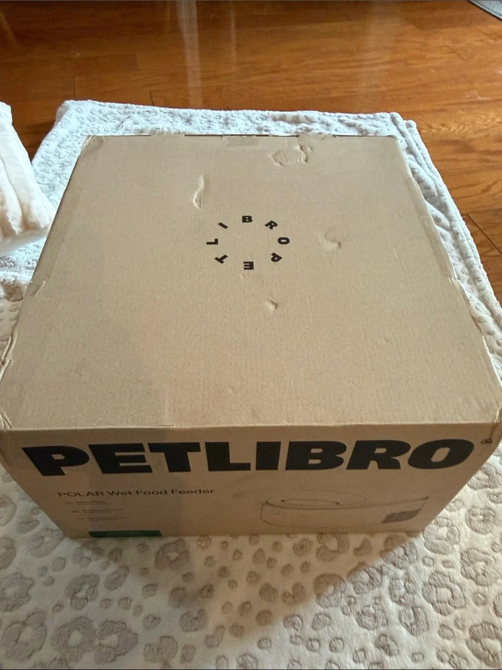 Polar App-Powered Wet Food Feeder - Black